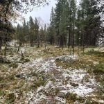 Vorboten des Schnees im Fjell