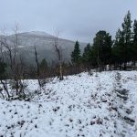 Und das ist erst der Anfang