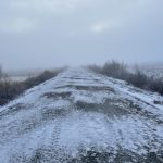 Endlose Straßen durch den Nebel