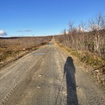 Mein Schatten geht vorweg