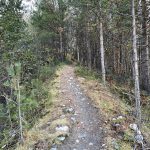 Kleine Pfade zur Abwechslung