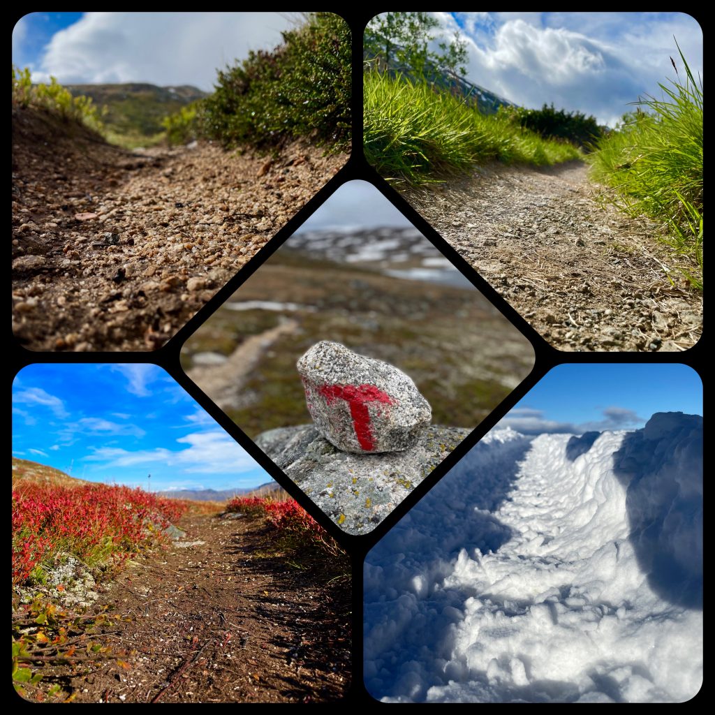 Die Wege der 4 Jahreszeiten