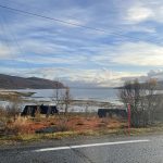 Hier gibt es noch letzte Herbstfarben