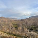 Es geht wieder ins Fjell